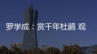 罗学成：赏千年杜鹃 观千亩花海